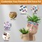 Edge Collections - 6.69" x 5.91" - Creative Girl Face Planter for Succulents and Cacti - 1 Piece